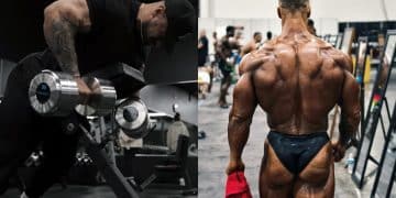Chris Bumstead Back Workout