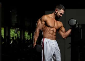 Dumbbell Concentration Curls