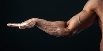Forearm Exercises For Arm Wrestling