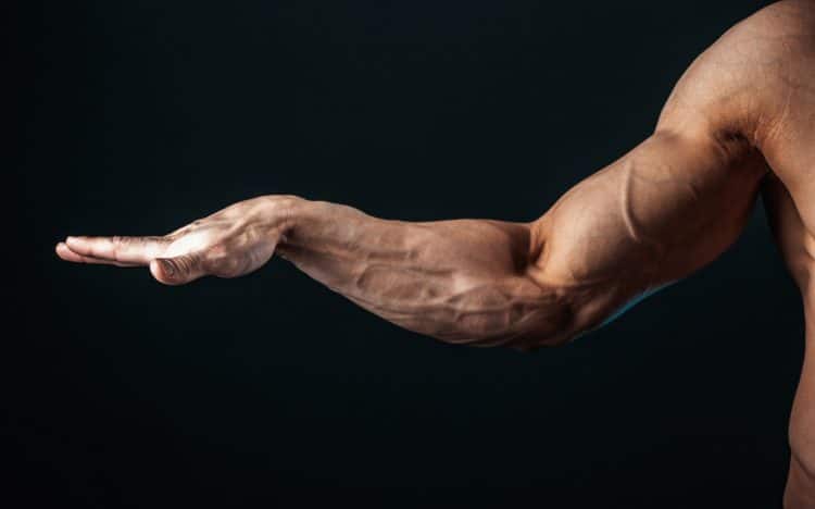 Forearm Exercises For Arm Wrestling