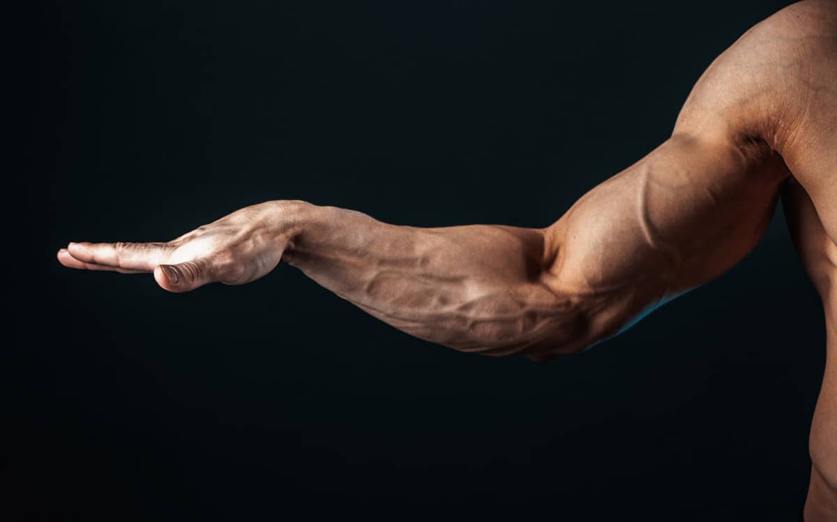 The 10 Best Forearm Exercises For Arm Wrestling Fitness Volt