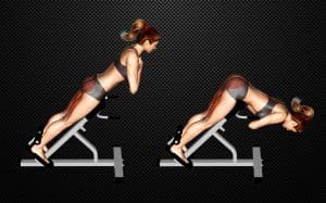 45 Degree Hyperextension Guide