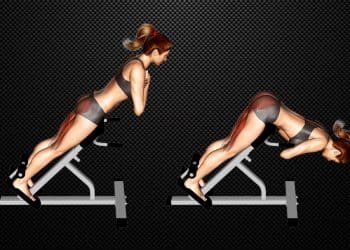 45 Degree Hyperextension Guide