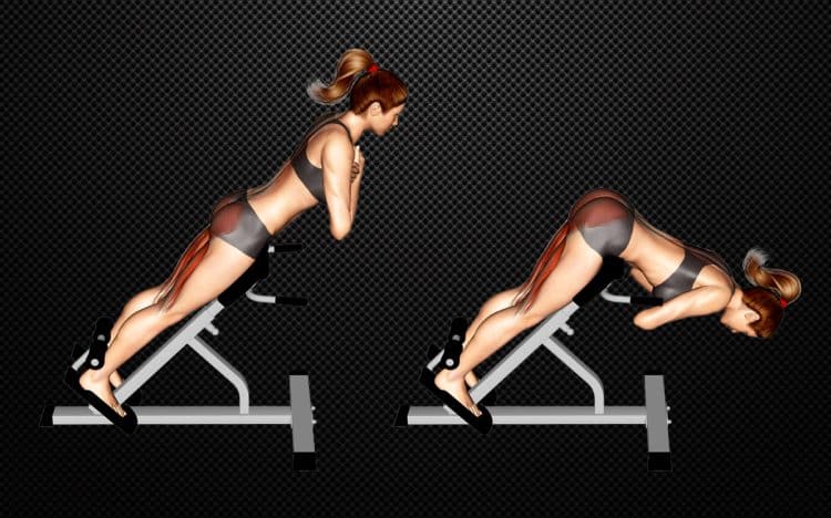 45 Degree Hyperextension Guide