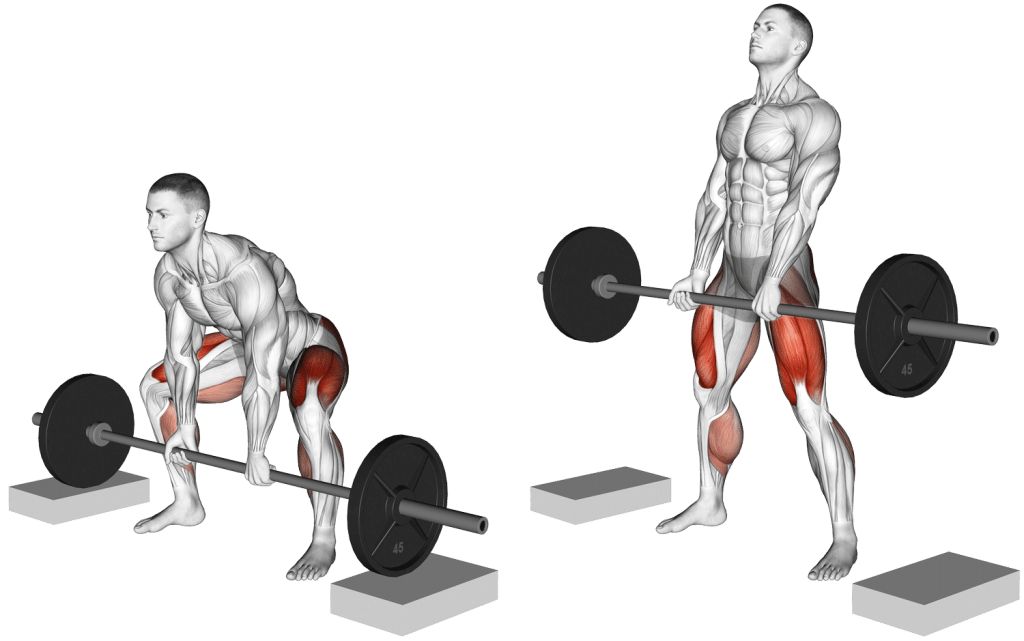 Unlock Strength: Block Pulls for Hamstrings & Back Power – Fitness Volt