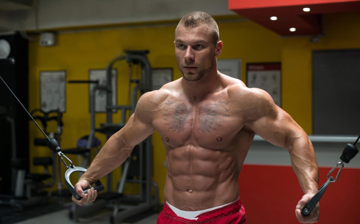 The Best Cable Hypertrophy Workout Program Fitness Volt