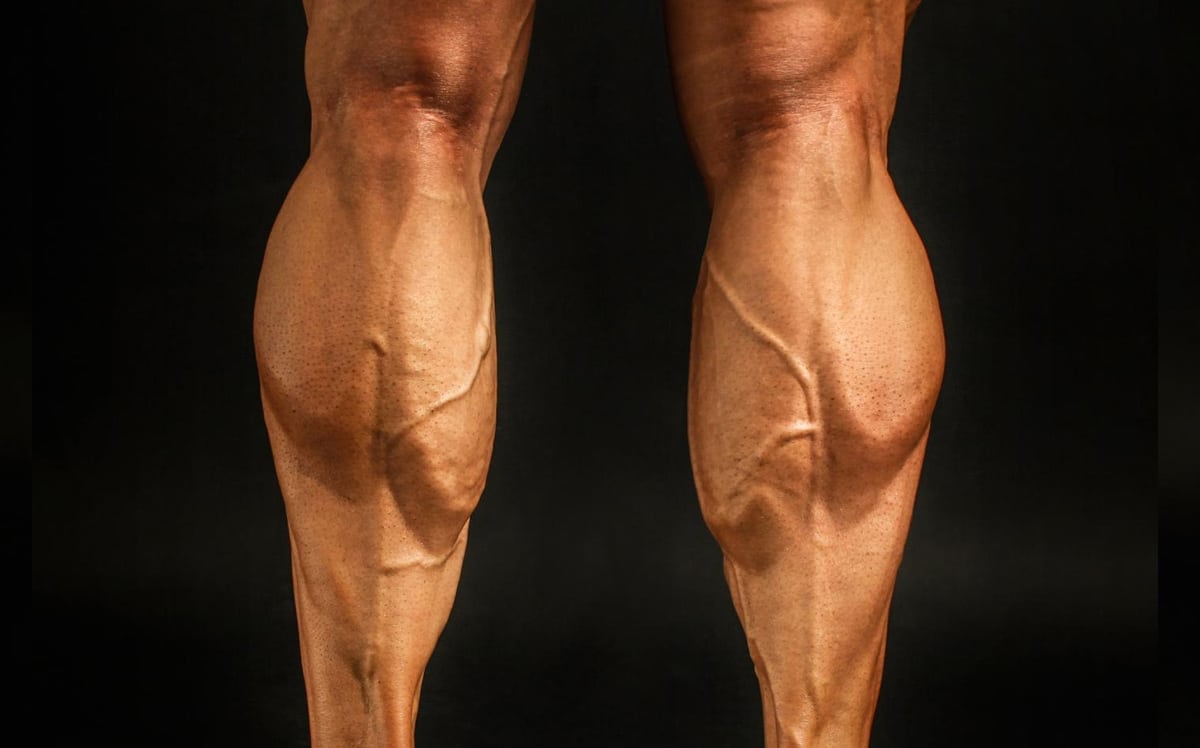 Calf discount muscle growth