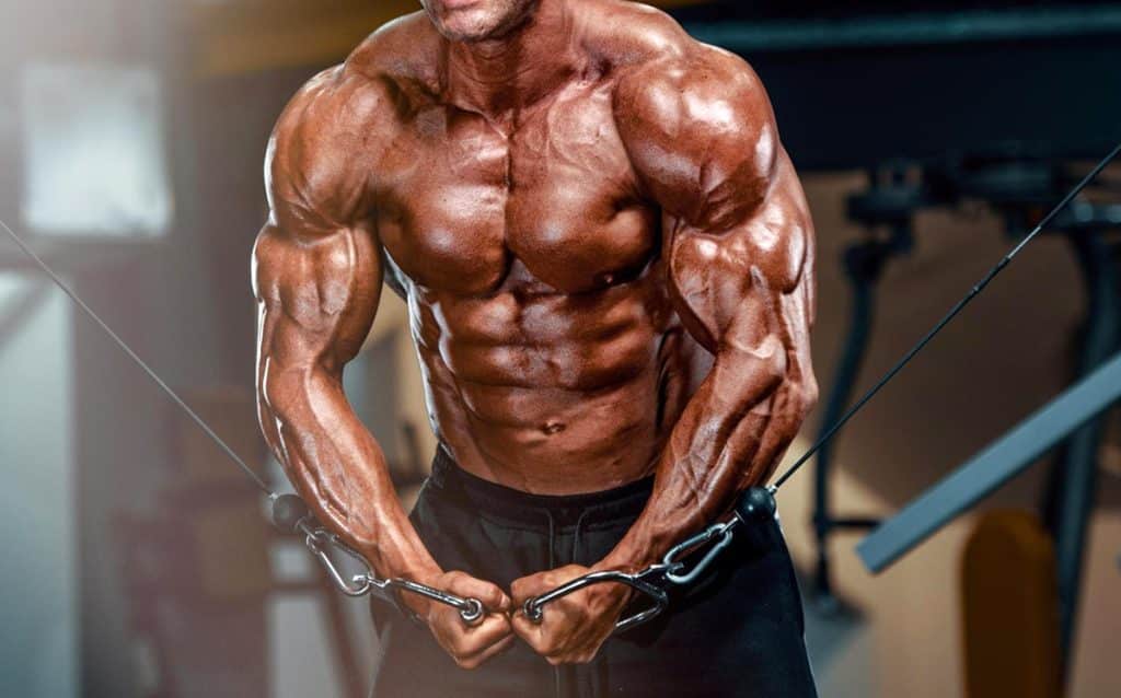 Increase Vascularity
