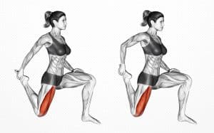 Quadriceps Stretch Guide