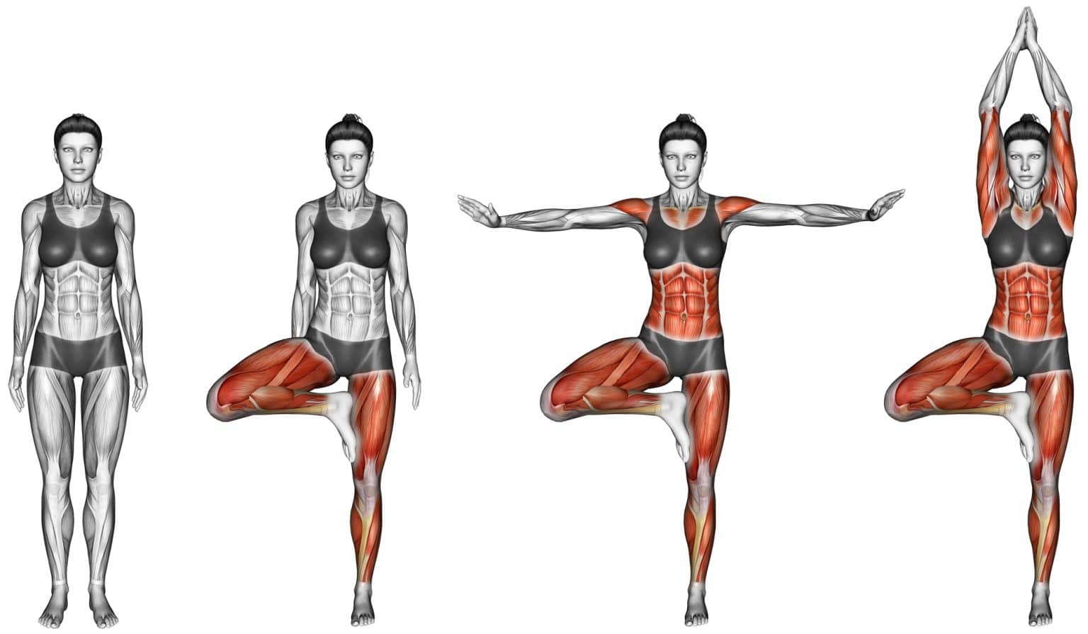 Mastering Tree Pose Strengthen Key Muscle Groups Effectively Fitness 