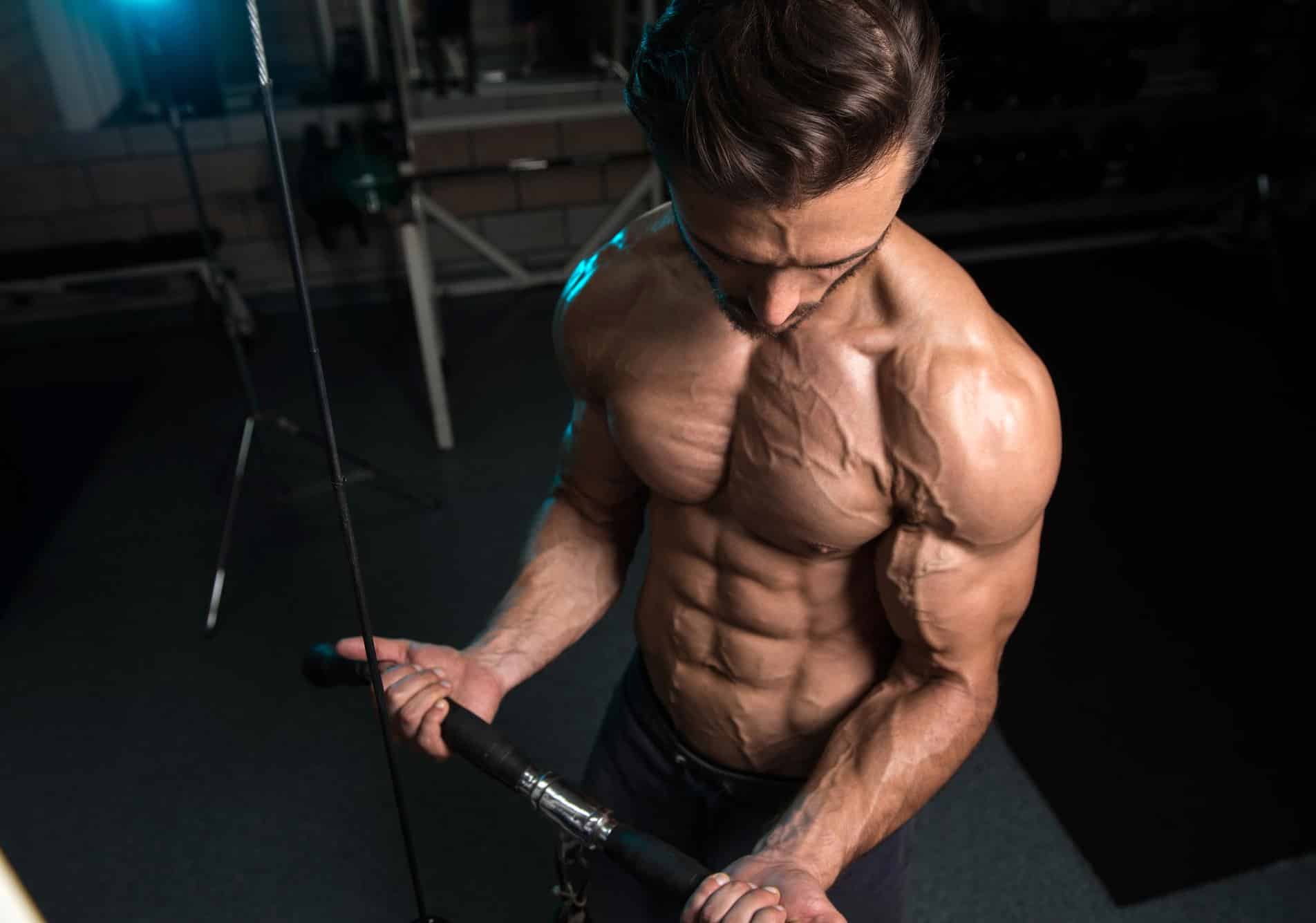 How To Increase Vascularity 15 Effective Strategies to Get Diced