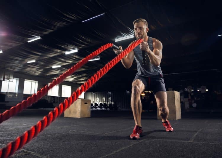Exercise With The Ropes In Gym
