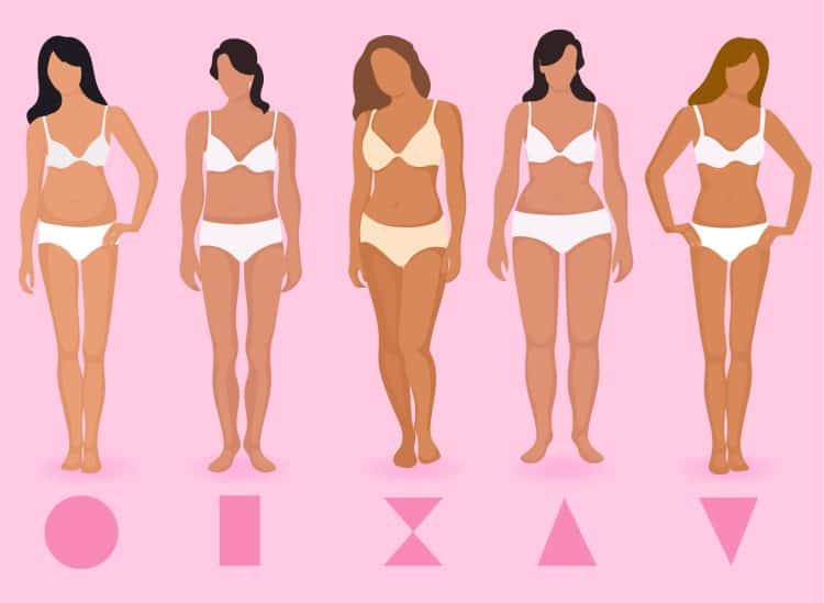 Female Body Shapes