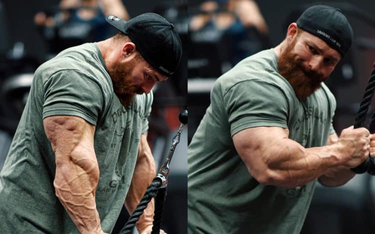 Flex Lewis Triceps Tips