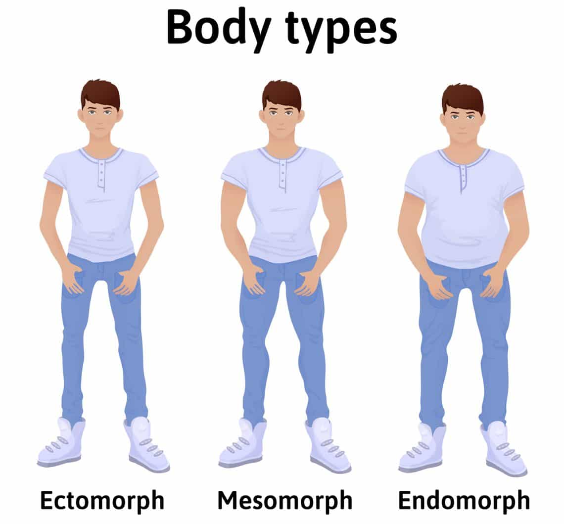 Male Body Types (Ectomorphs, Mesomorphs, And Endomorphs) — FitnessVolt.com