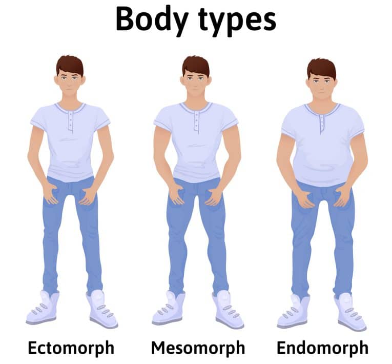 Male Body Types (Ectomorphs, Mesomorphs, and Endomorphs) — FitnessVolt.com