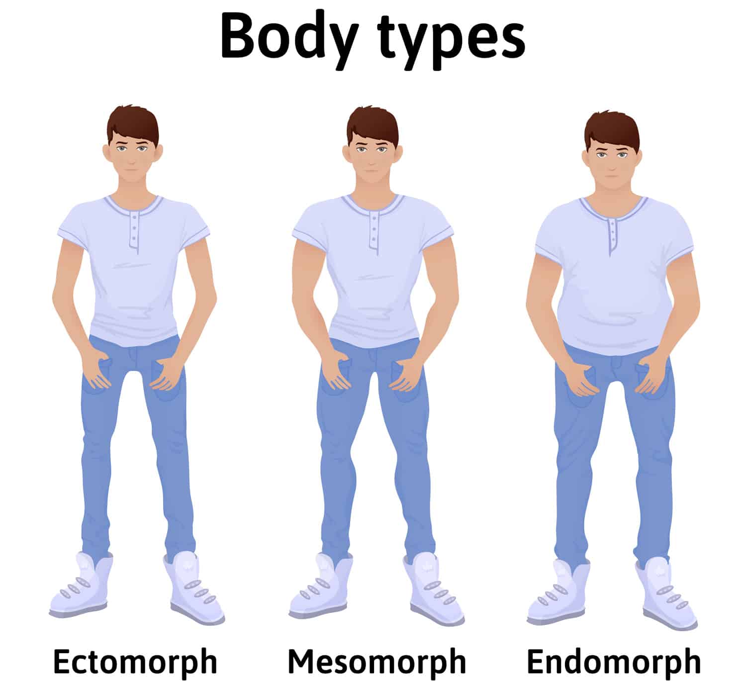 Male Body Types Ectomorphs Mesomorphs And Endomorphs FitnessVolt 
