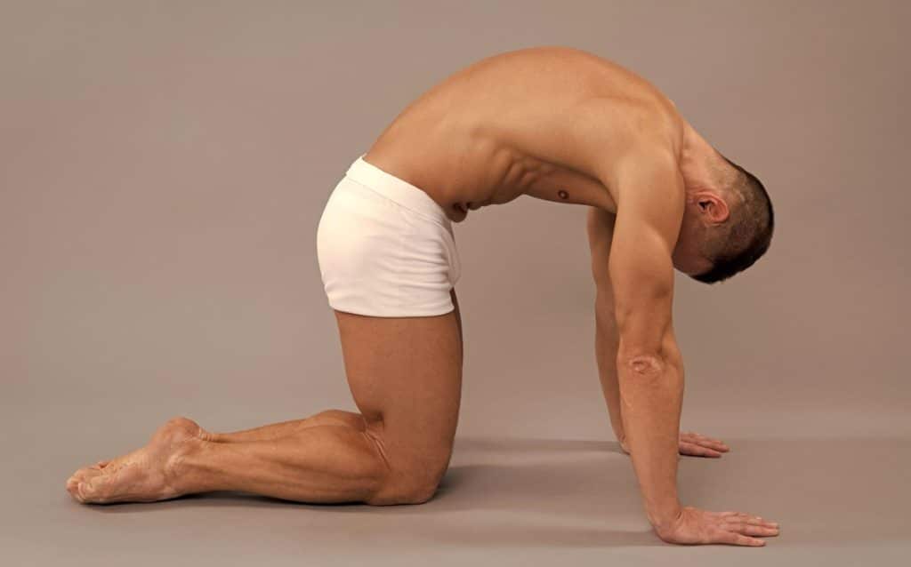 Daily Mobility Exercises