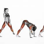 Prasarita Padottanasana Yoga