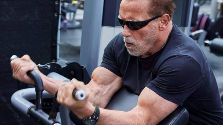 Schwarzenegger Vegan Protein Diet