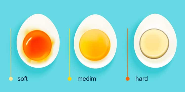 Boiled Eggs Stages