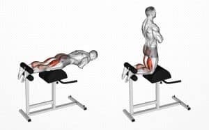 Glute Ham Raise Guide