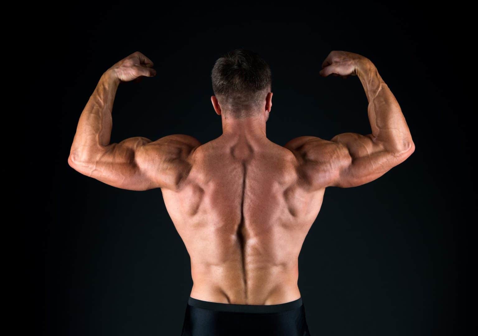 2 Back and Triceps Workouts For Building an Insane Physique