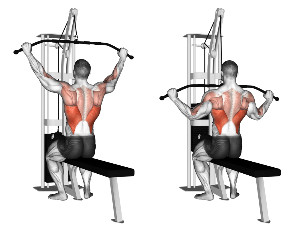 How to Do a Lat Pulldown Guide : Muscles Worked, Form, Benefits, and ...