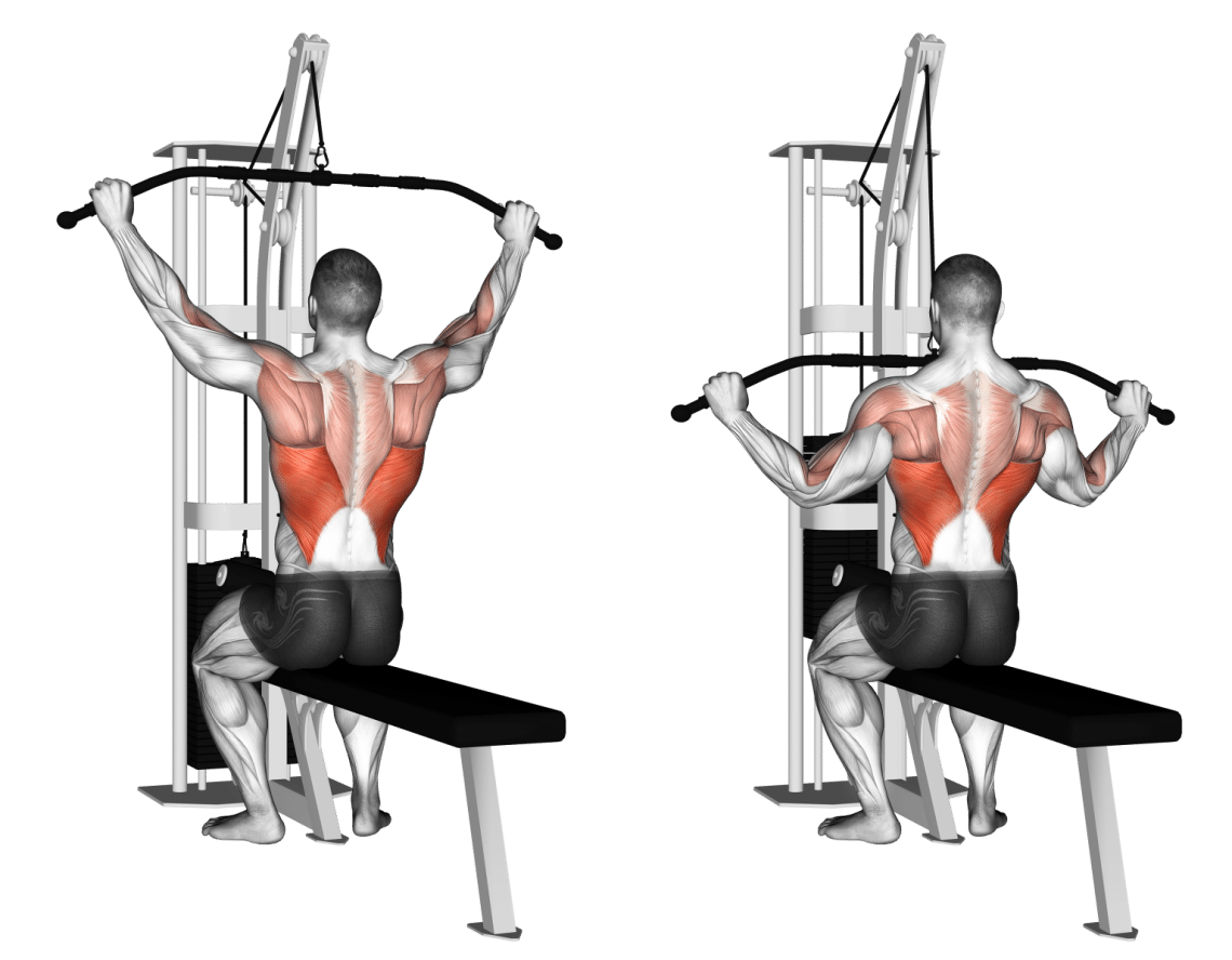 Master the Lat Pulldown: Target Your Back and Biceps Effectively ...