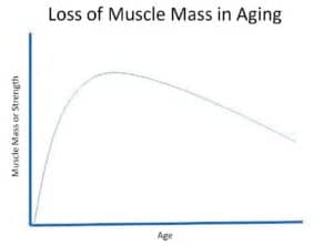 Building Muscle After 50: Guidelines and Workout Program – Fitness Volt