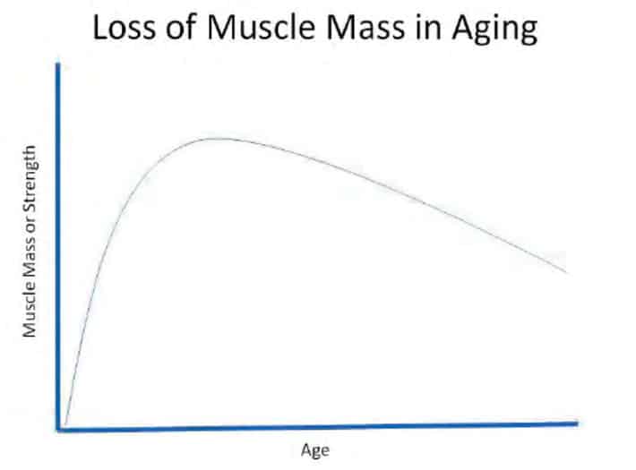 Loss Of Muscle Mass
