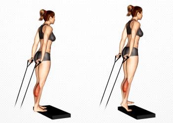 Band Calf Raise Guide