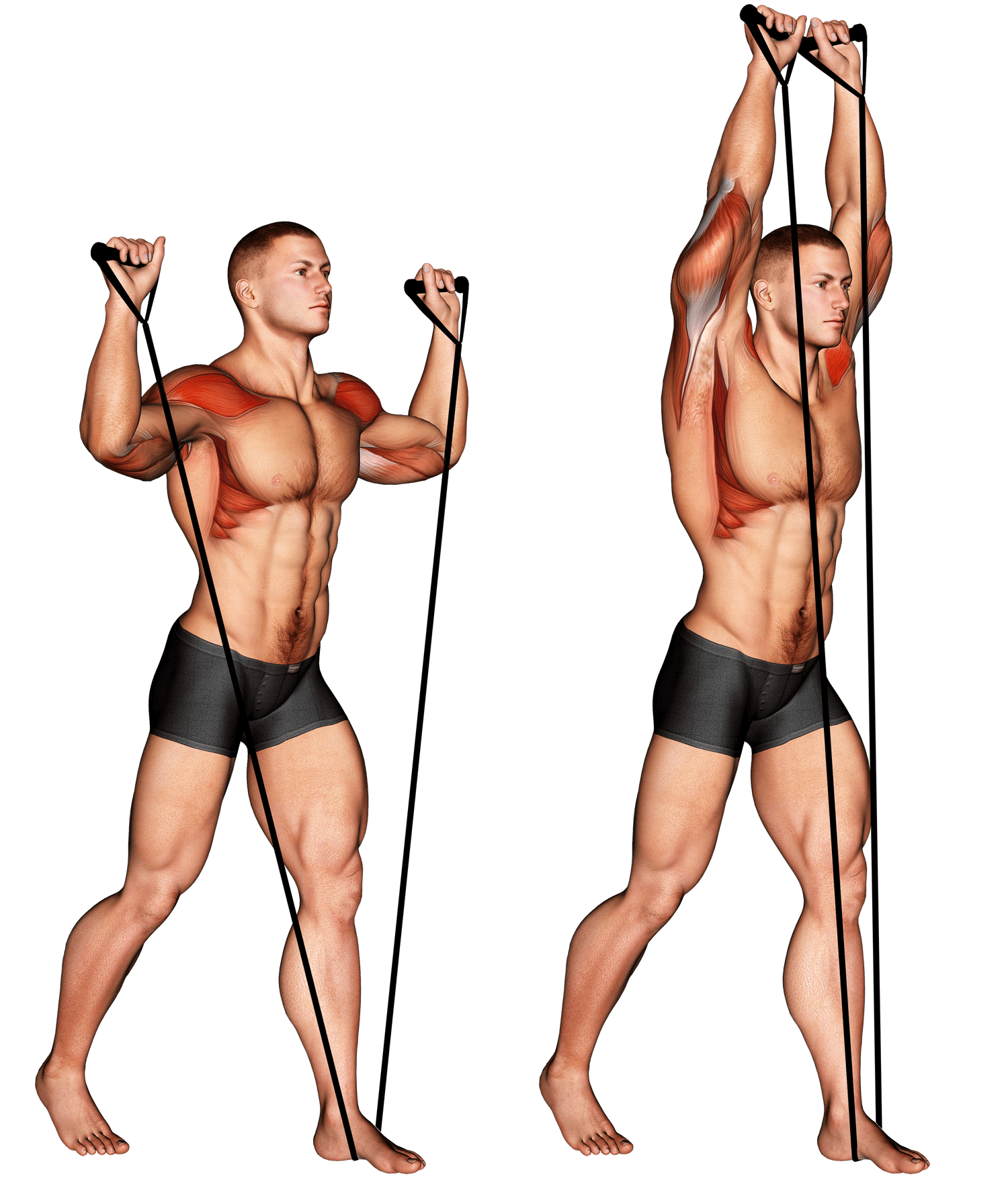 How To Do Band Shoulder Press Benefits Common Mistakes And how-to-do-band-shoulder-press-benefits-common-mistakes-and