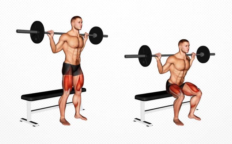 Bench Squat Guide