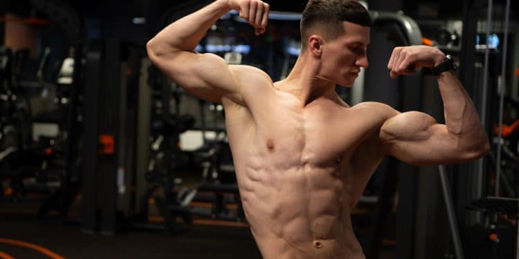 Calisthenics Arm Workout