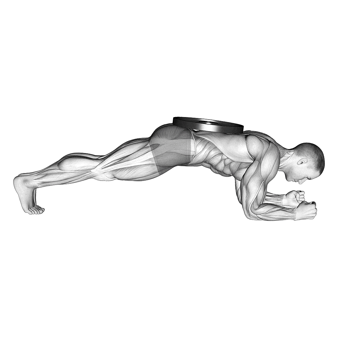 How To Do Weighted Planks