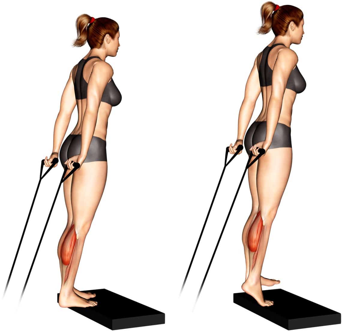 Band Calf Raise Strengthen Your Gastrocnemius and Soleus Fitness Volt