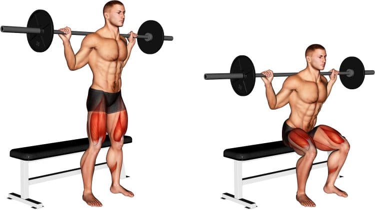 Muscles Worked During Bench Squat