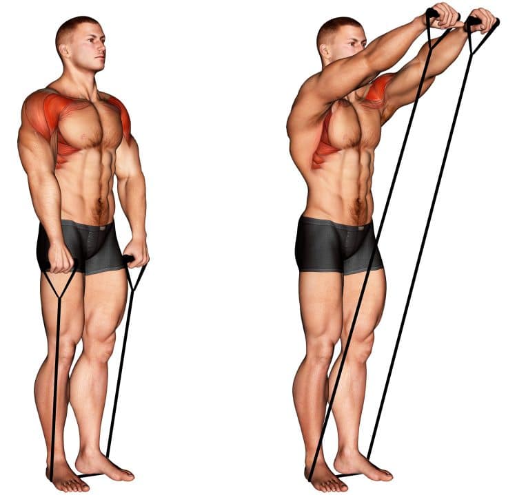 Muscles Worked in Band Front Raises