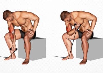 Band Concentration Curl Guide