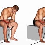 Band Reverse Wrist Curl Guide