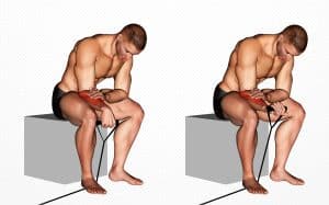 Band Reverse Wrist Curl Guide