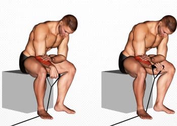 Band Reverse Wrist Curl Guide