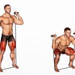 Band Squat Guide