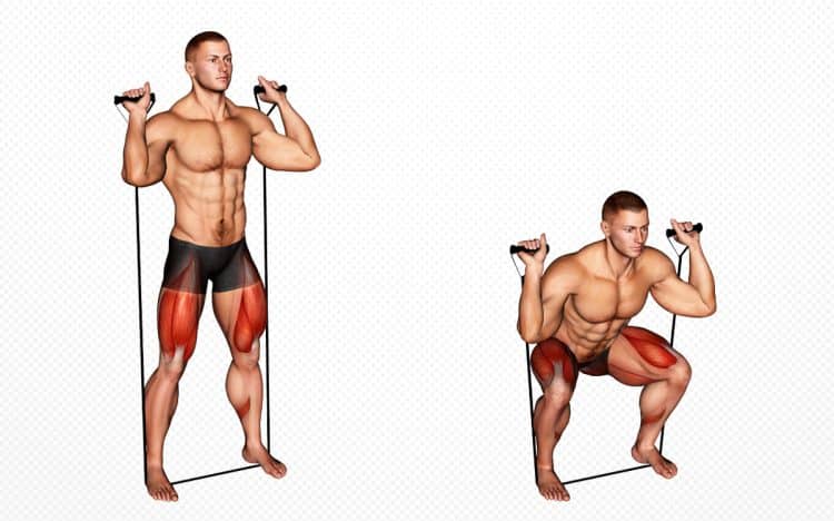 Band Squat Guide