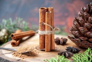 Does Cinnamon Break a Fast? Separating Fact from Fiction – Fitness Volt