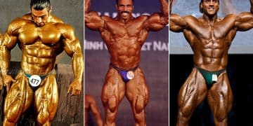 2021 Mr. Olympia Men's Open Bodybuilding Results and Prize Money