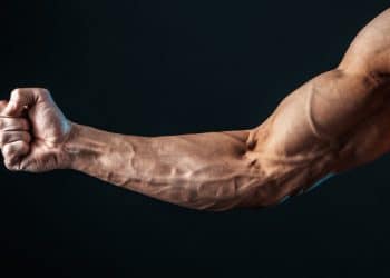Forearms At Home Workout