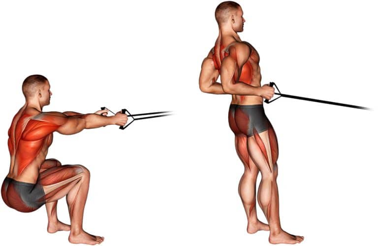 How To Do The Band Squat Row Benefits Common Mistakes And Variations