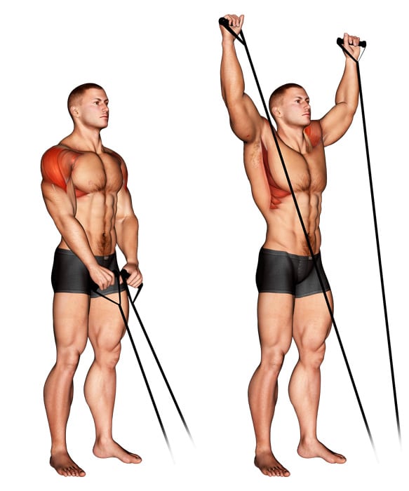 Muscles Worked During Band Y Raise